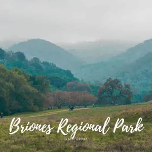 Discovering Nature Sanctuary | A Hiker Paradise at Briones Regional Park